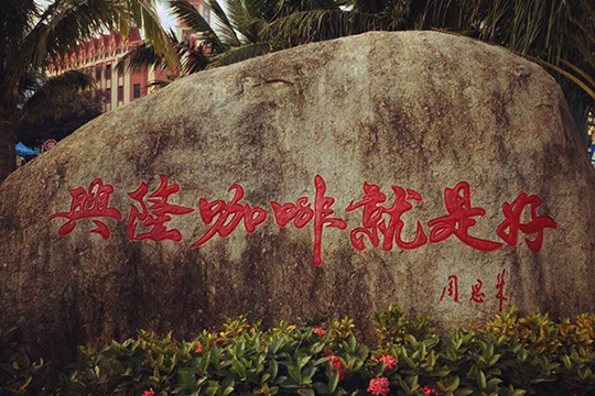 興隆華僑農(nóng)場咖啡