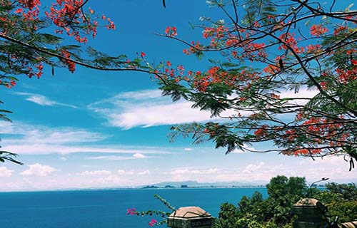 山茶半島
