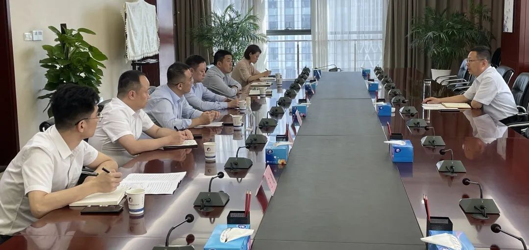 公司黨委書記、董事長杜巖岫帶隊赴合肥考察學習