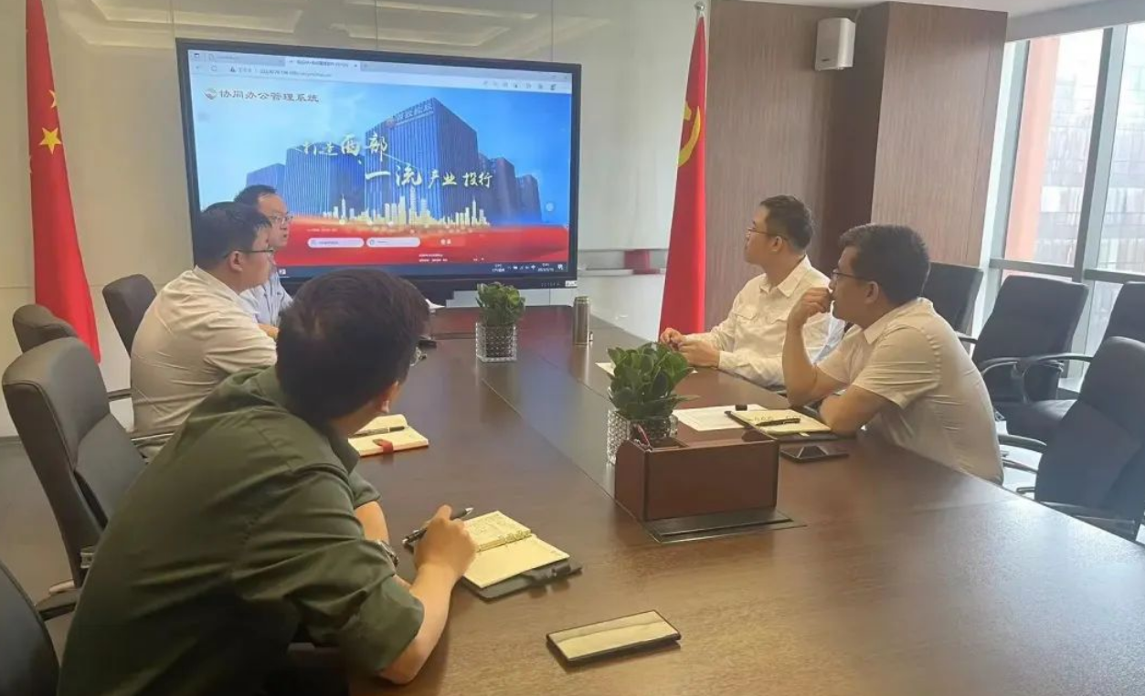 助推管理效能提升 公司召開(kāi)數(shù)字化IT工程專(zhuān)題推進(jìn)會(huì)